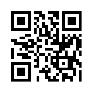 81ts.com QR code