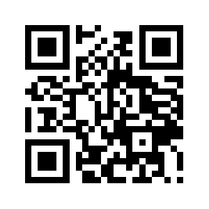 895296.com QR code