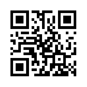 895918.org QR code