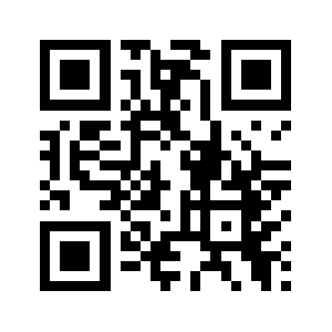 9013538.com QR code