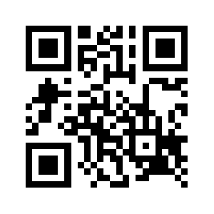 911disk.org QR code