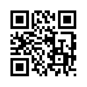 9135.info QR code