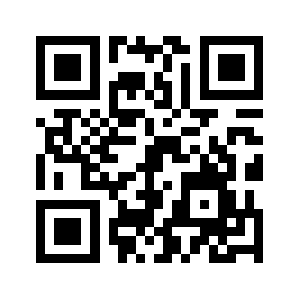 9166338.com QR code