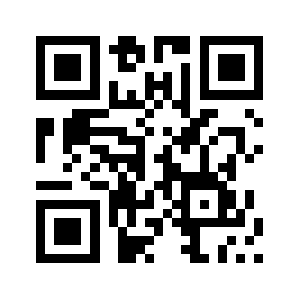 9191hg.com QR code