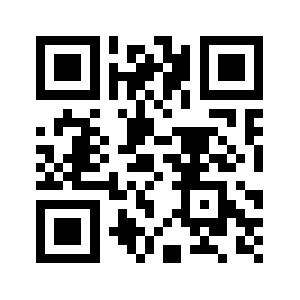 9191vpn.net QR code