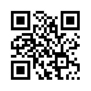 919272399.com QR code