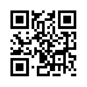 9199.biz QR code