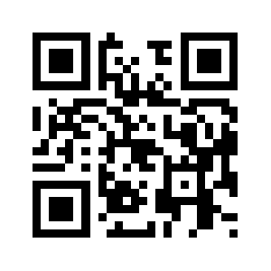 91shanzhen.com QR code