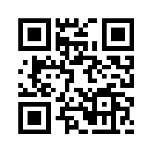 91stw.us QR code