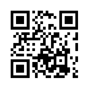 91vg.com QR code