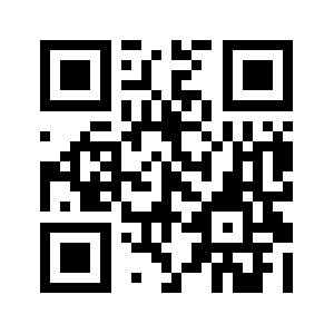 91zdx.com QR code