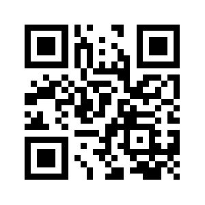 93991133.info QR code