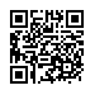 95.nslook013.com QR code