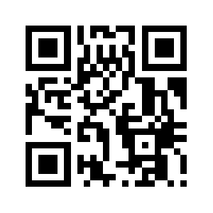 951111.net QR code