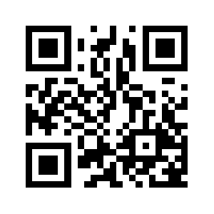 95533-2.com QR code