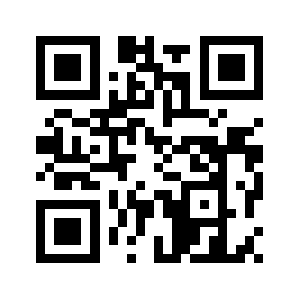 966bid.org QR code