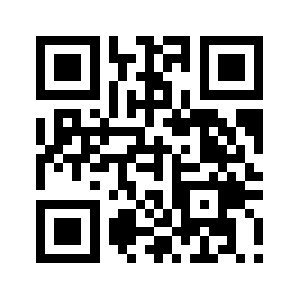 991153.com QR code