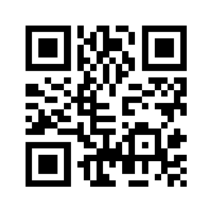 9913515.ru QR code