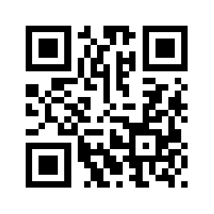 991enz.com QR code