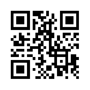 991wl.com QR code