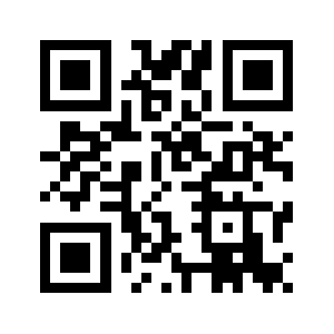 995system.com QR code