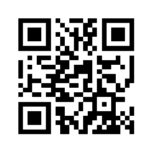 999399.biz QR code