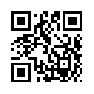 999danji.com QR code