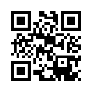 999turns.org QR code