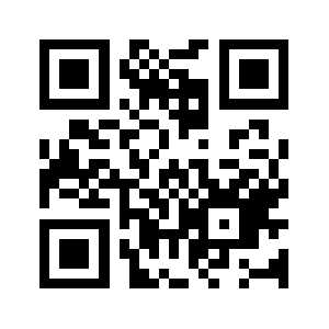 99audit.com QR code