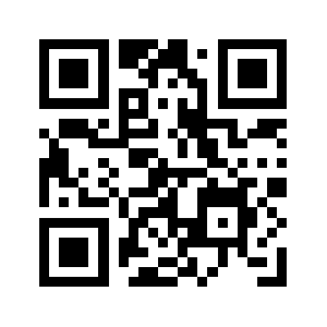 9b9tpvp.com QR code