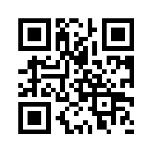 9bidz.org QR code