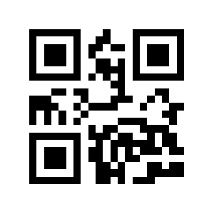 9ct.biz QR code