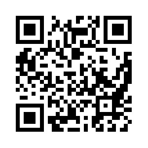 9dexperience.com QR code