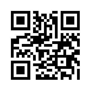 9dwm.com QR code