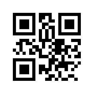 9k.biz QR code