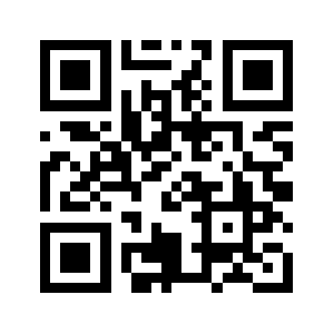 9lionscoin.com QR code