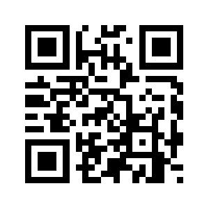 9qsv5.biz QR code