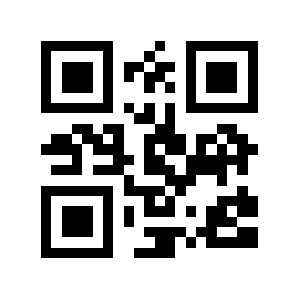 9r.cn QR code