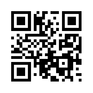 9rij.com QR code