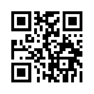 9win.biz QR code