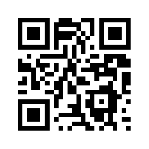 A09g.com QR code