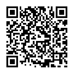 Acprofessionalaccountingservices.net QR code