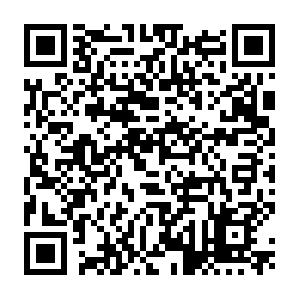 Ad.smaato.net.getcacheddhcpresultsforcurrentconfig QR code