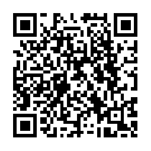 Adamshouseapartmentslosangeles.site QR code