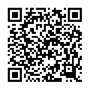 Adultmartialartsclassesevergreenpark.com QR code