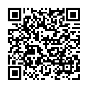 Adviceaboutmalebreastreduction.info QR code