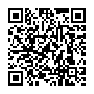 Agoda.net.dob.sibl.support-intelligence.net QR code