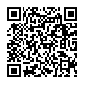 Ai.getcacheddhcpresultsforcurrentconfig QR code