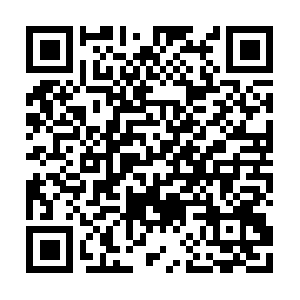 Akasrip.net.bf359cce.1.cn.akasripcn.net QR code