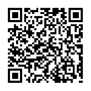 Allcarpetcleaningsanfernandovalley.com QR code